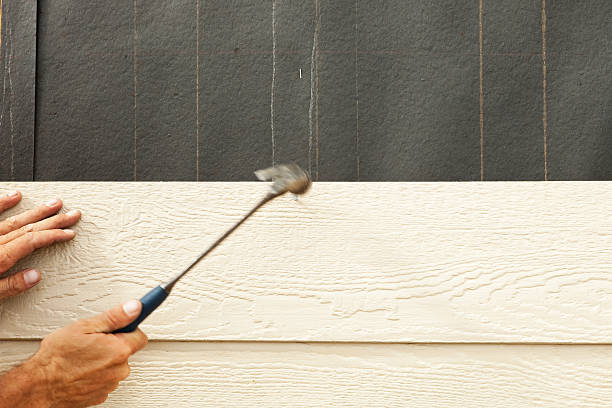 Best Wood Siding Installation  in Vienna, IL